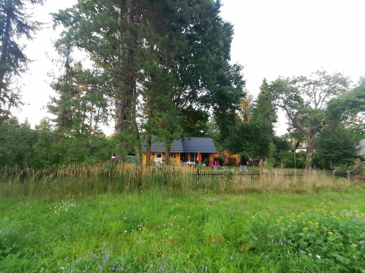 Bleichehof Villa Бург Екстериор снимка