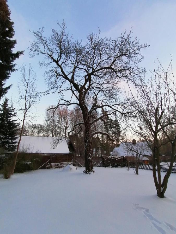 Bleichehof Villa Бург Екстериор снимка